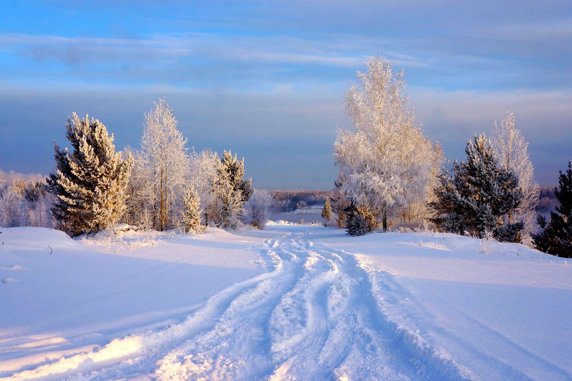 Download Snow Path Tree Nature Winter 4k Ultra HD Wallpaper