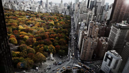 A stunning aerial view of Columbus Circle in New York, showcasing the vibrant fall foliage of the park surrounded by towering skyscrapers and bustling city streets.