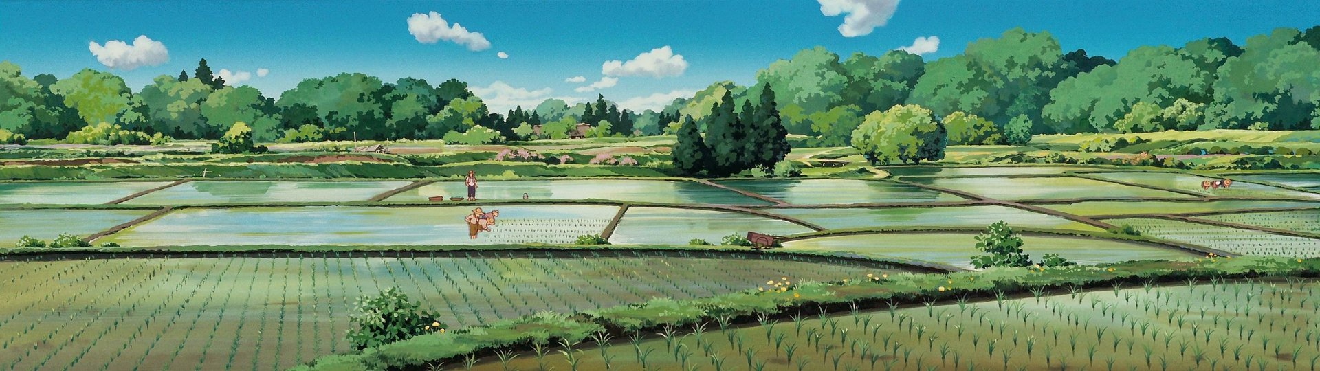 A vibrant HD wallpaper featuring a scenic rural landscape from the anime My Neighbor Totoro, showcasing rice fields and lush greenery under a clear blue sky.