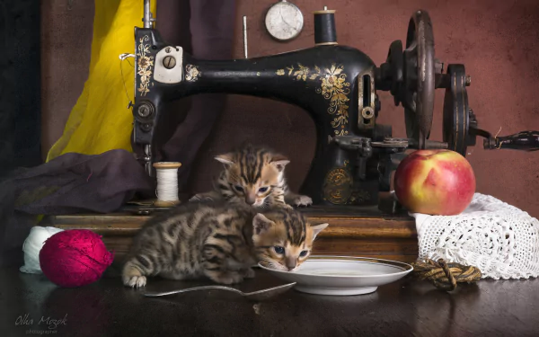 A kitten and a cat explore a vintage sewing machine surrounded by sewing materials and an apple, captured in a detailed HD PC desktop wallpaper.