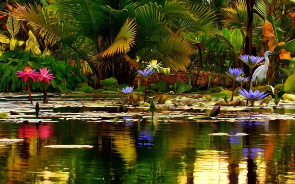 Terre/Nature Lac Lacs Pond Printemps Fleur Lotus Oiseau Plante Fond d'écran HD | Image