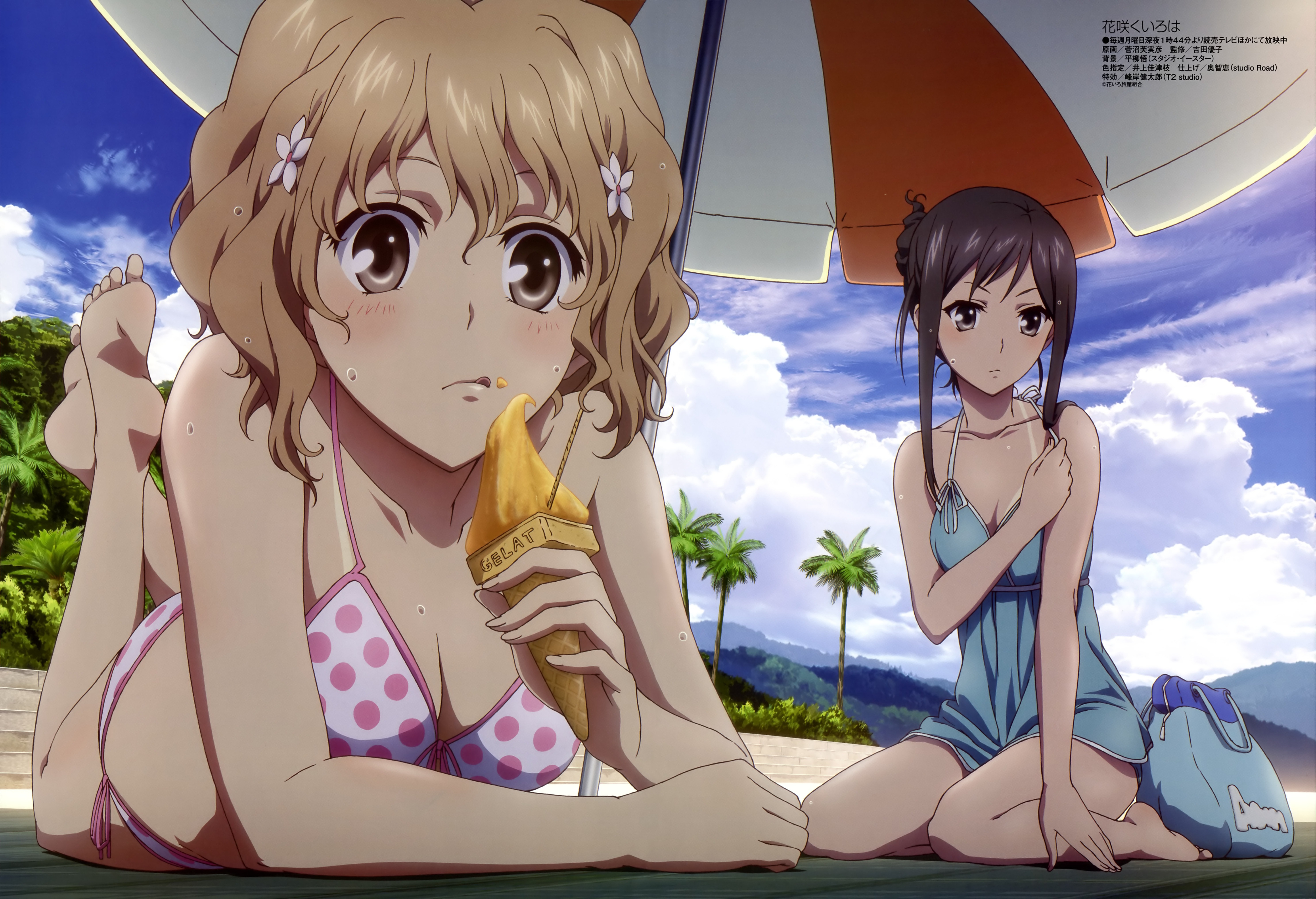 Anime Hanasaku Iroha 4k Ultra HD Wallpaper