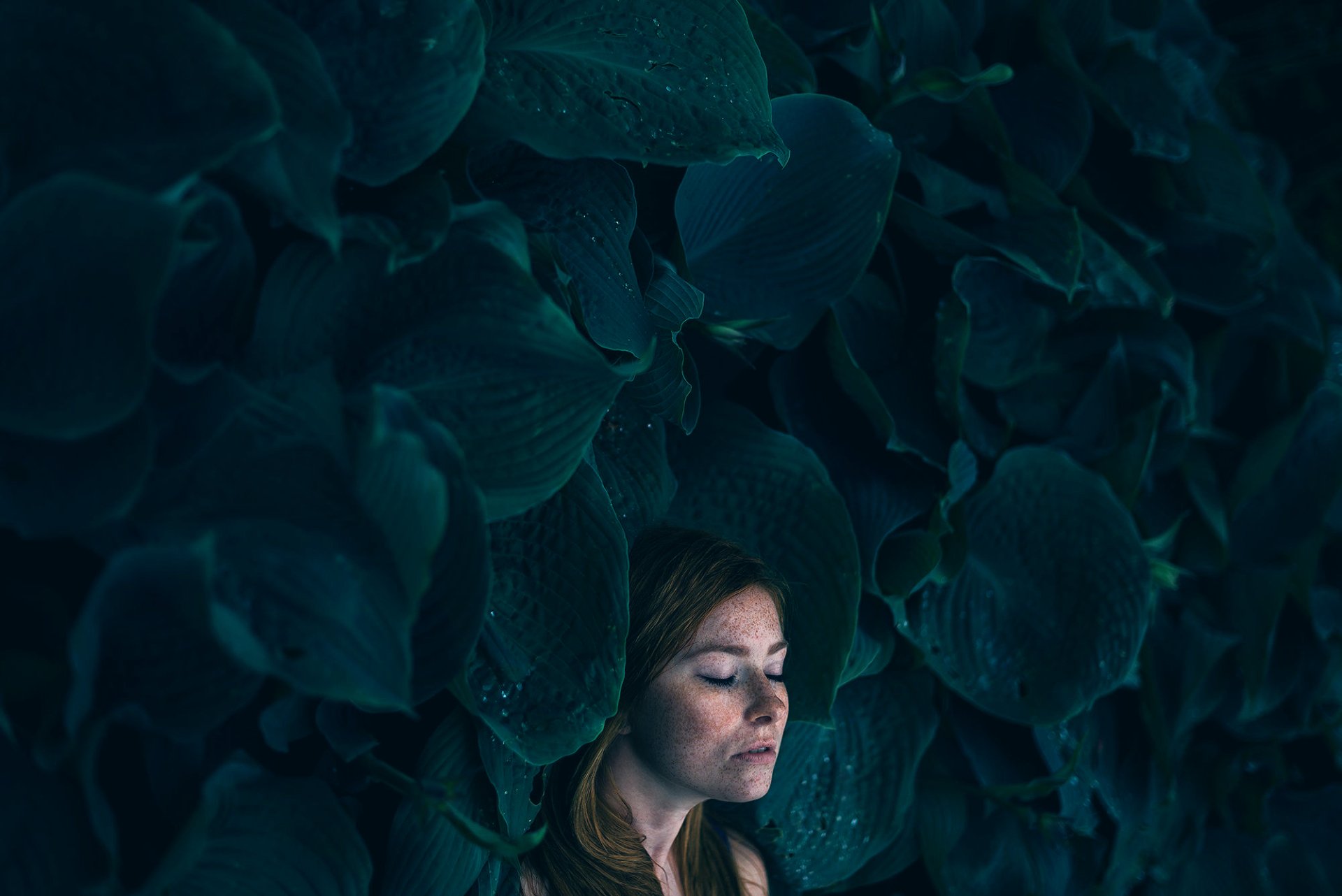 Download Redhead Leaf Freckles Face Woman Mood HD Wallpaper by Michael Färber