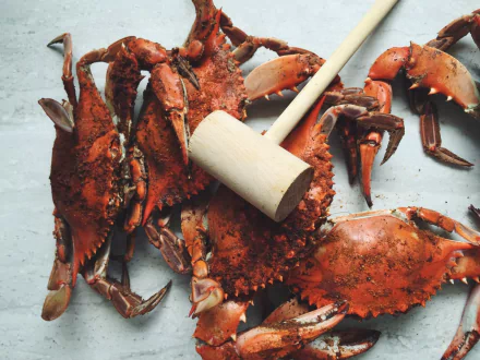 food crab HD Desktop Wallpaper | Background Image