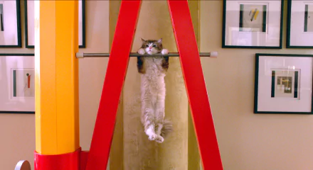movie Nine Lives HD Desktop Wallpaper | Background Image