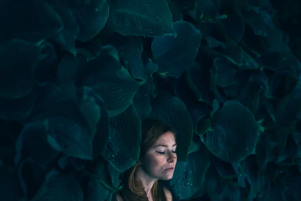 redhead leaf freckles face woman mood HD Desktop Wallpaper | Background Image