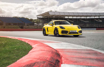 Yellow Porsche Cayman GT4 on a racetrack corner by the grandstand — high-detail 4K Ultra HD PC desktop wallpaper/background.