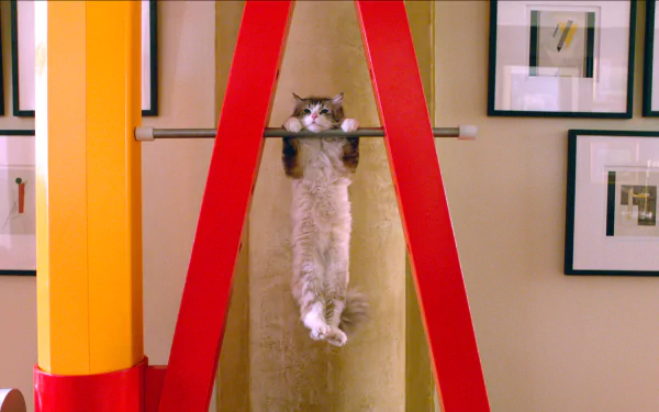movie Nine Lives HD Desktop Wallpaper | Background Image