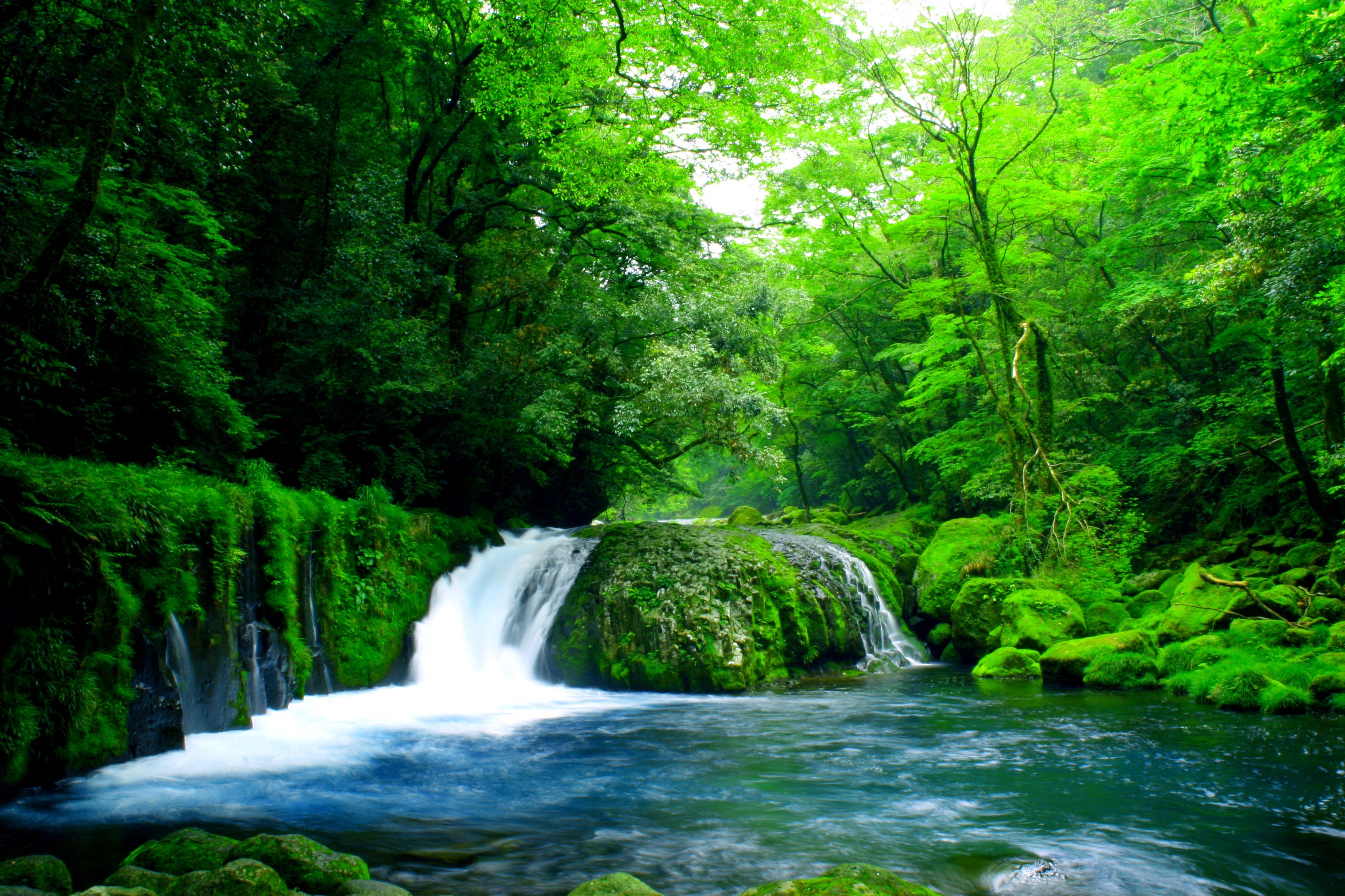 Waterfall in Green Forest HD Wallpaper | Background Image | 3504x2336