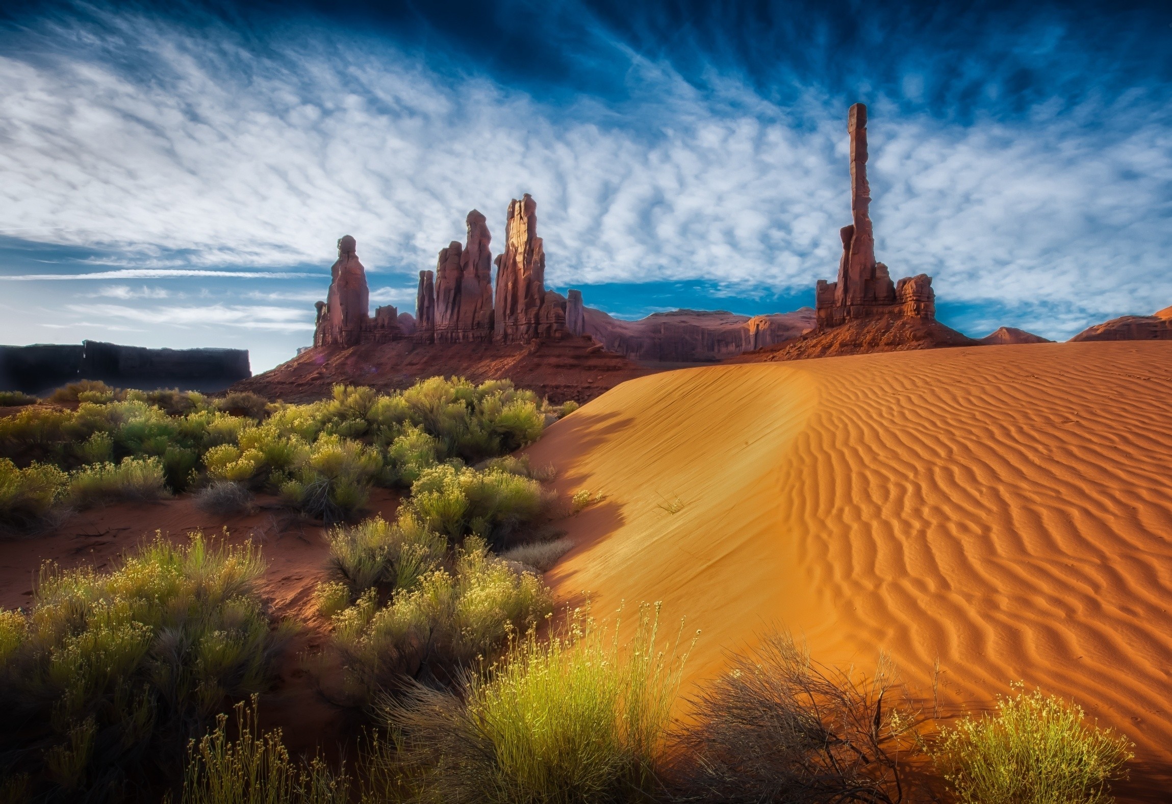 Download Tree Sand Landscape Nature Desert HD Wallpaper Download Tree Sand Landscape Nature Desert HD Wallpaper