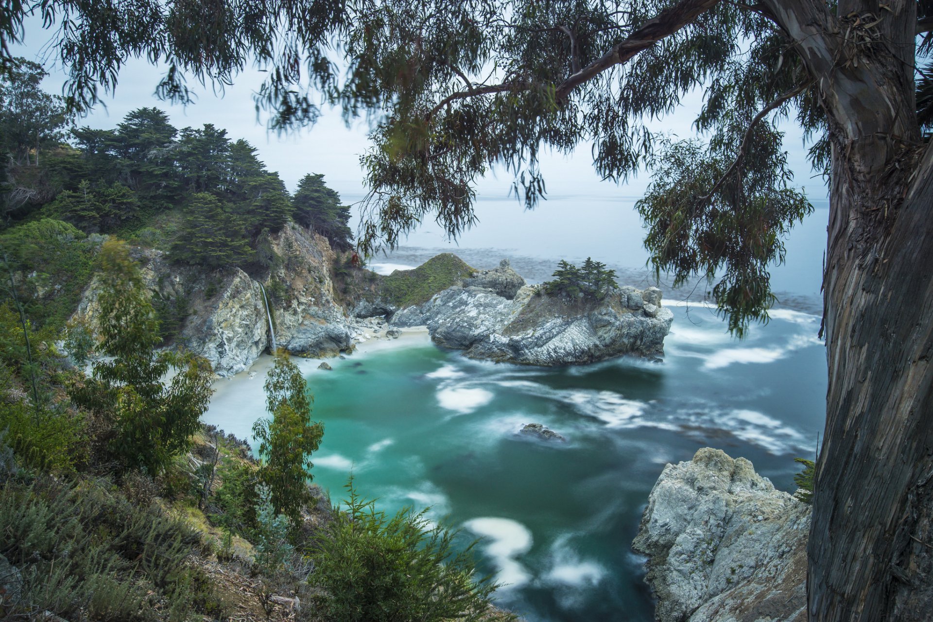 Scenic view of McWay Falls cascading into the ocean along California’s rocky coastline, surrounded by lush greenery and framed by trees, captured in high-definition.