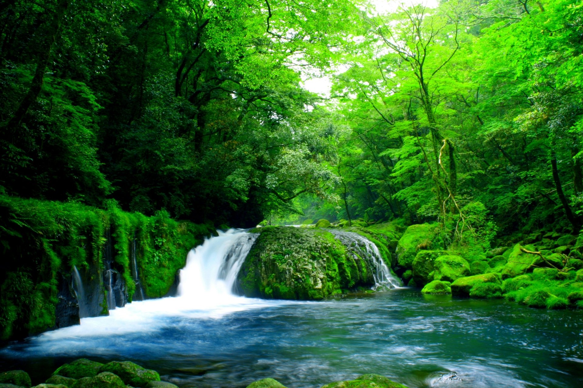 Download Tree Green Forest Nature Waterfall HD Wallpaper   Thumb 1920 712121 