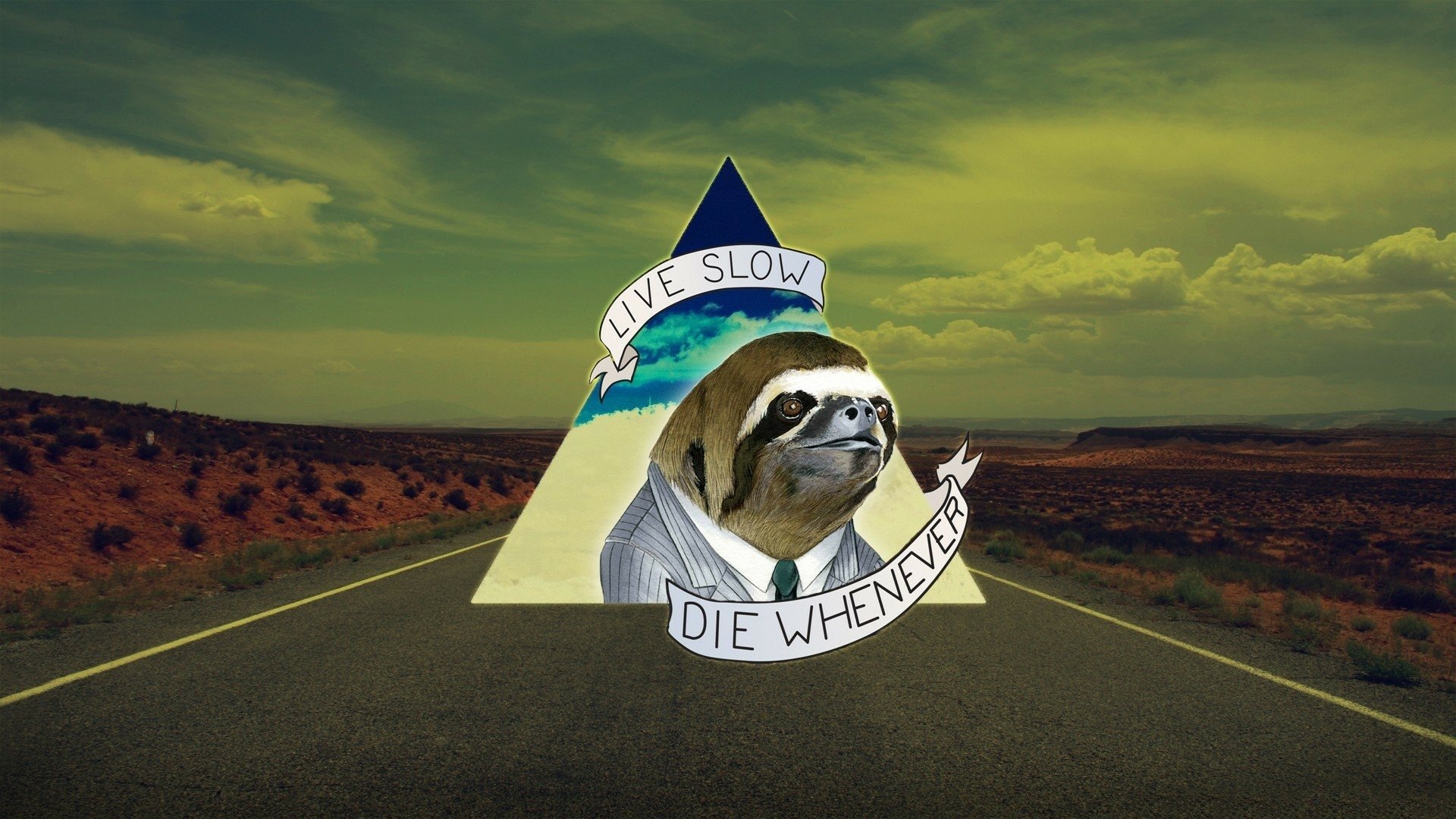 Download Sloth Life Road Funny Death  HD Wallpaper