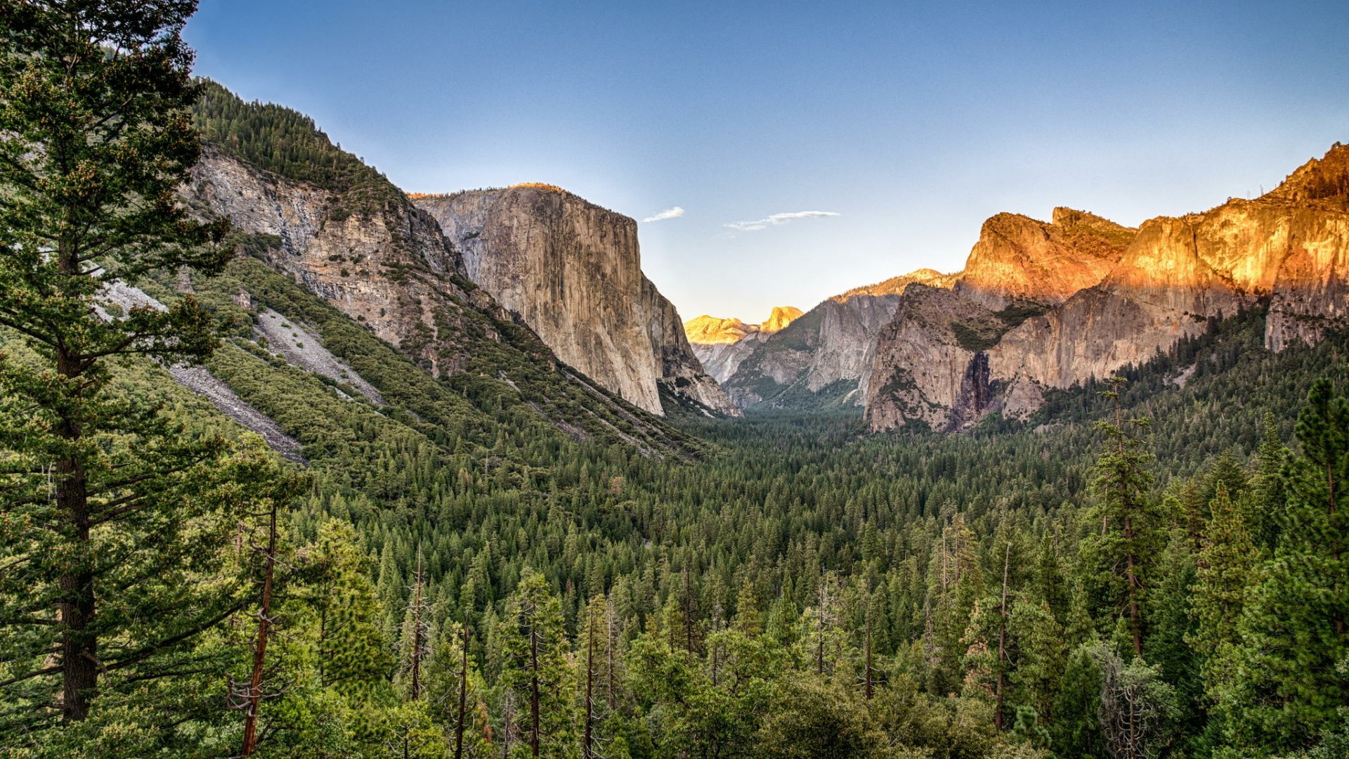 Download Cliff Forest Landscape Mountain California USA Nature Yosemite ...