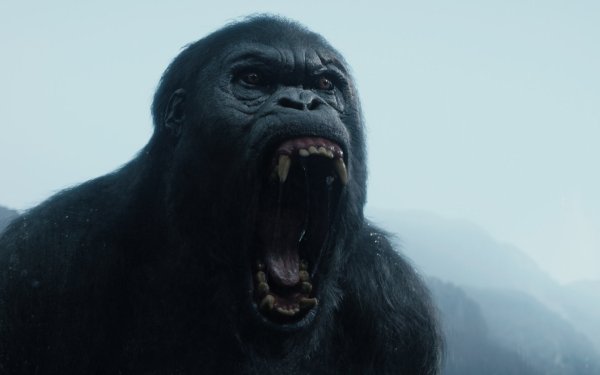 Movie The Legend of Tarzan Gorilla HD Wallpaper | Background Image