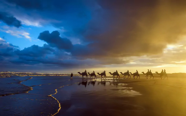 A caravan of camels walks along a sandy beach under a dramatic sky, with clouds reflecting golden light on the water, creating a stunning HD desktop wallpaper.
