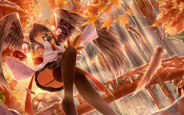 Anime Touhou Aya Shameimaru Wings Feather Smile Leaf Long Hair Black Hair Red Eyes Camera Pantyhose HD Wallpaper | Background Image