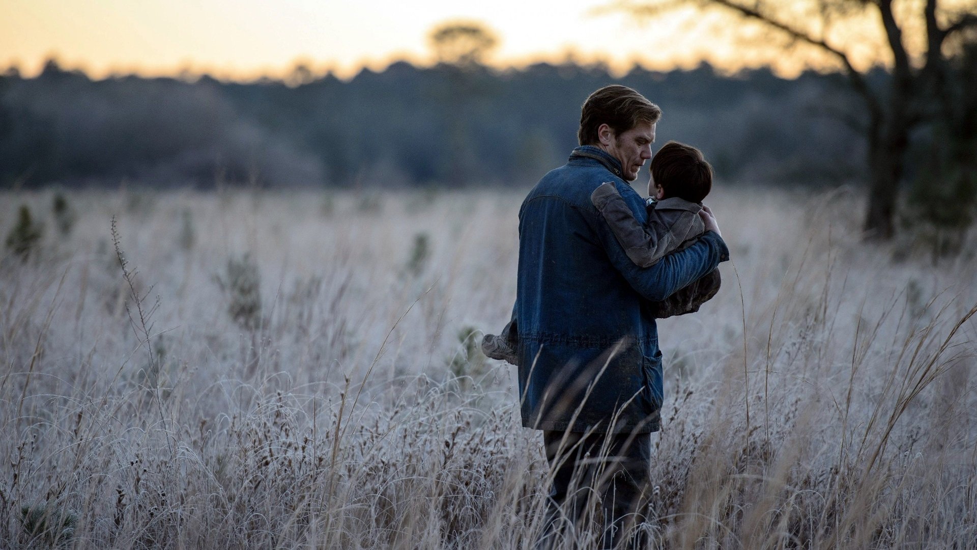 Download Michael Shannon Movie Midnight Special HD Wallpaper