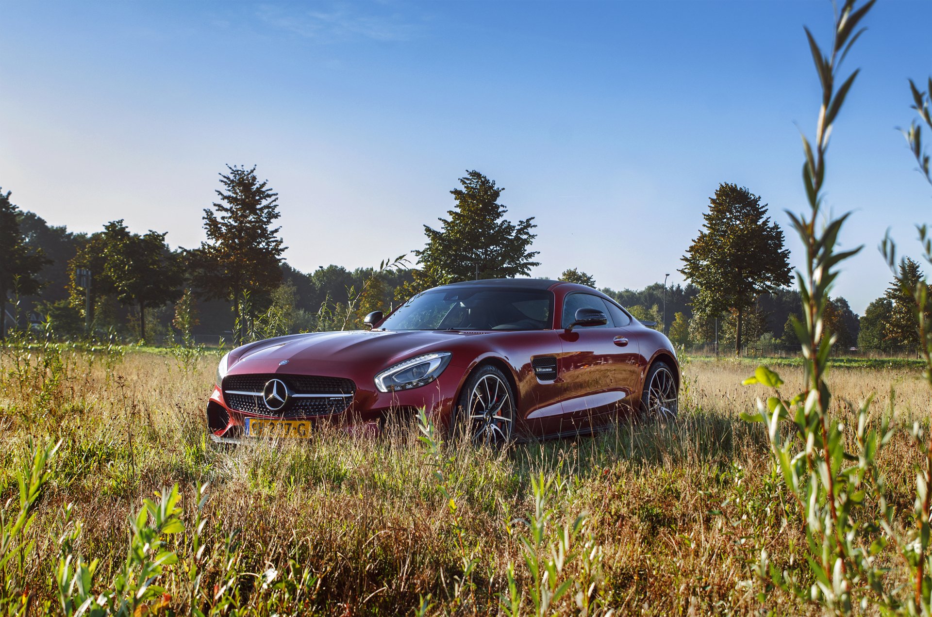 Red Mercedes-AMG GT car (Mercedes‑Benz vehicle) in a sunlit meadow with trees and blue sky — HD PC desktop wallpaper and background.
