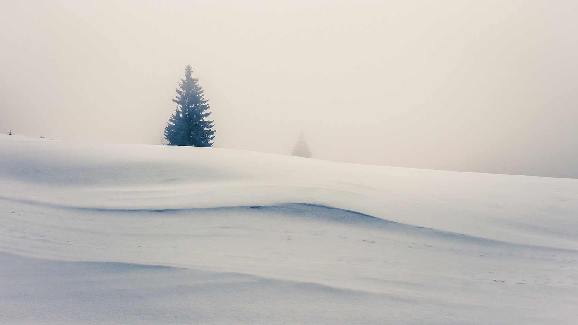 HD desktop wallpaper of a snow-covered winter landscape featuring a solitary pine tree emerging through thick fog in a serene natural setting.