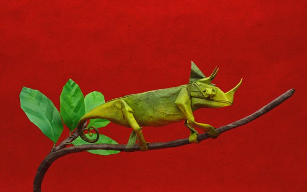 Man Made Origami Lizard Branch HD Wallpaper | Background Image