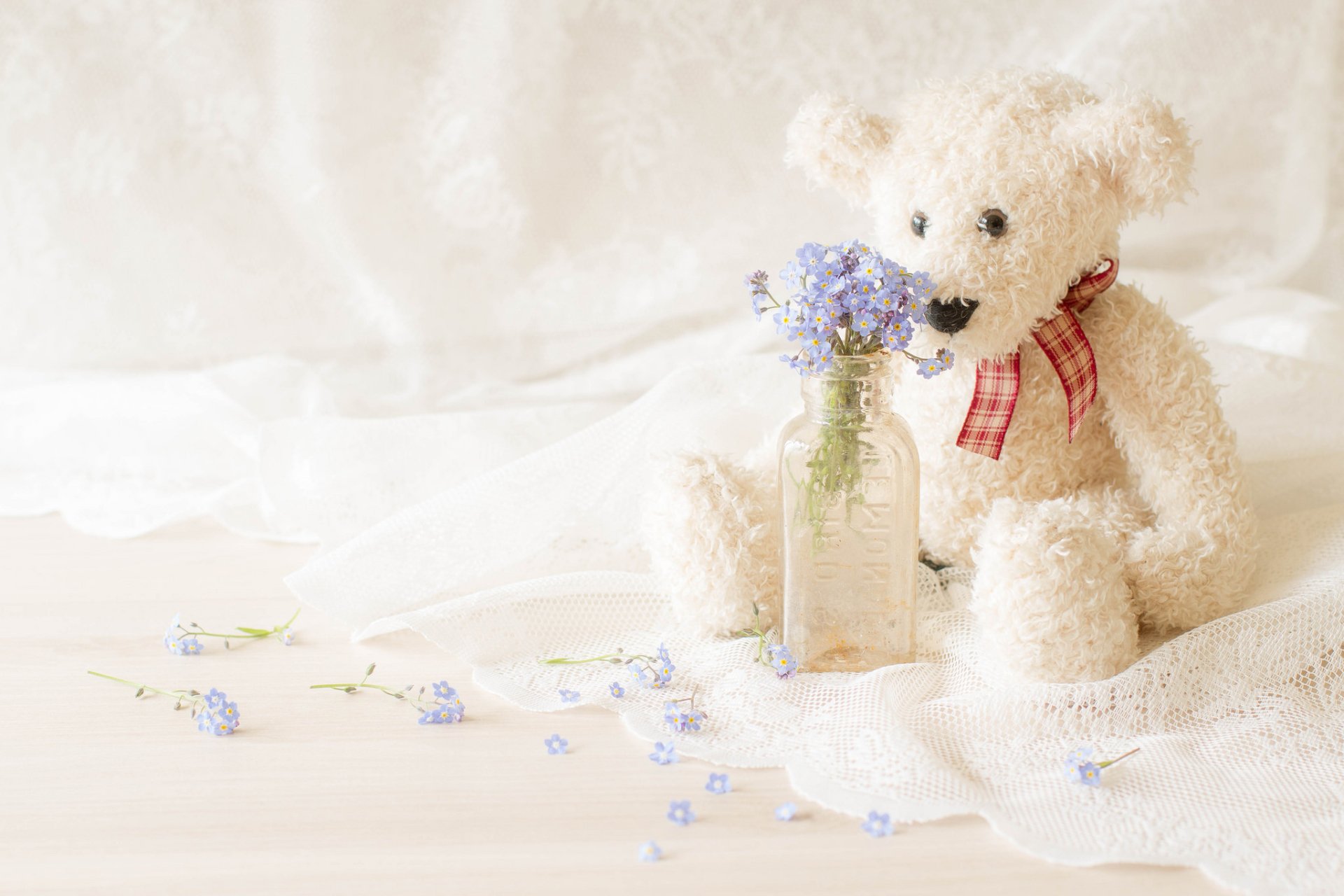 Download Teddy Bear Man Made Stuffed Animal HD Wallpaper