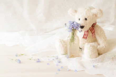 teddy bear man made stuffed animal HD Desktop Wallpaper | Background Image