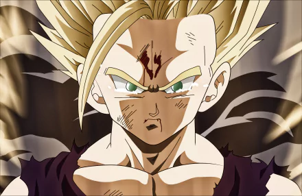 HD wallpaper featuring Gohan from Dragon Ball Z in an intense, battle-worn state. The image showcases Gohan's determined expression and distinct anime style from the Dragon Ball series.