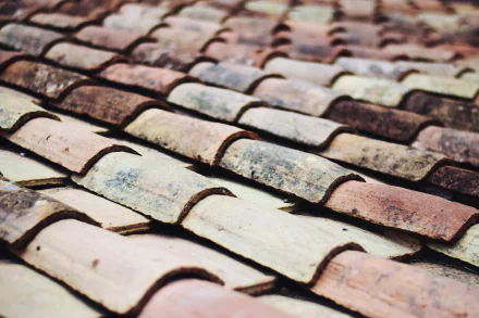 man made roof HD Desktop Wallpaper | Background Image
