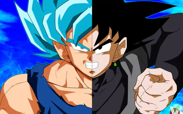 HD desktop wallpaper of Goku and Black Goku from Dragon Ball Super, featuring Goku in Super Saiyan Blue form and Black Goku side by side with a dynamic, high-energy background.