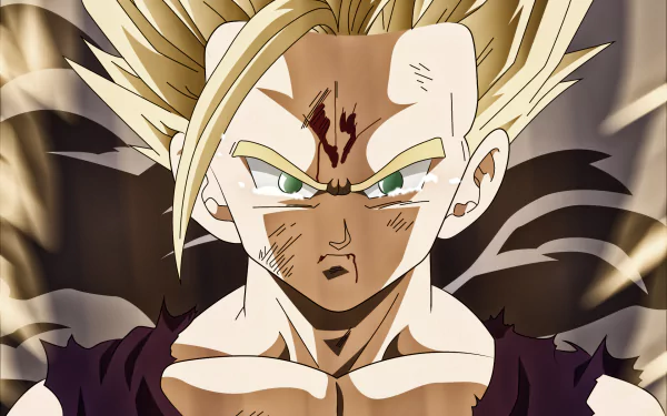 HD wallpaper featuring Gohan from Dragon Ball Z in an intense, battle-worn state. The image showcases Gohan's determined expression and distinct anime style from the Dragon Ball series.