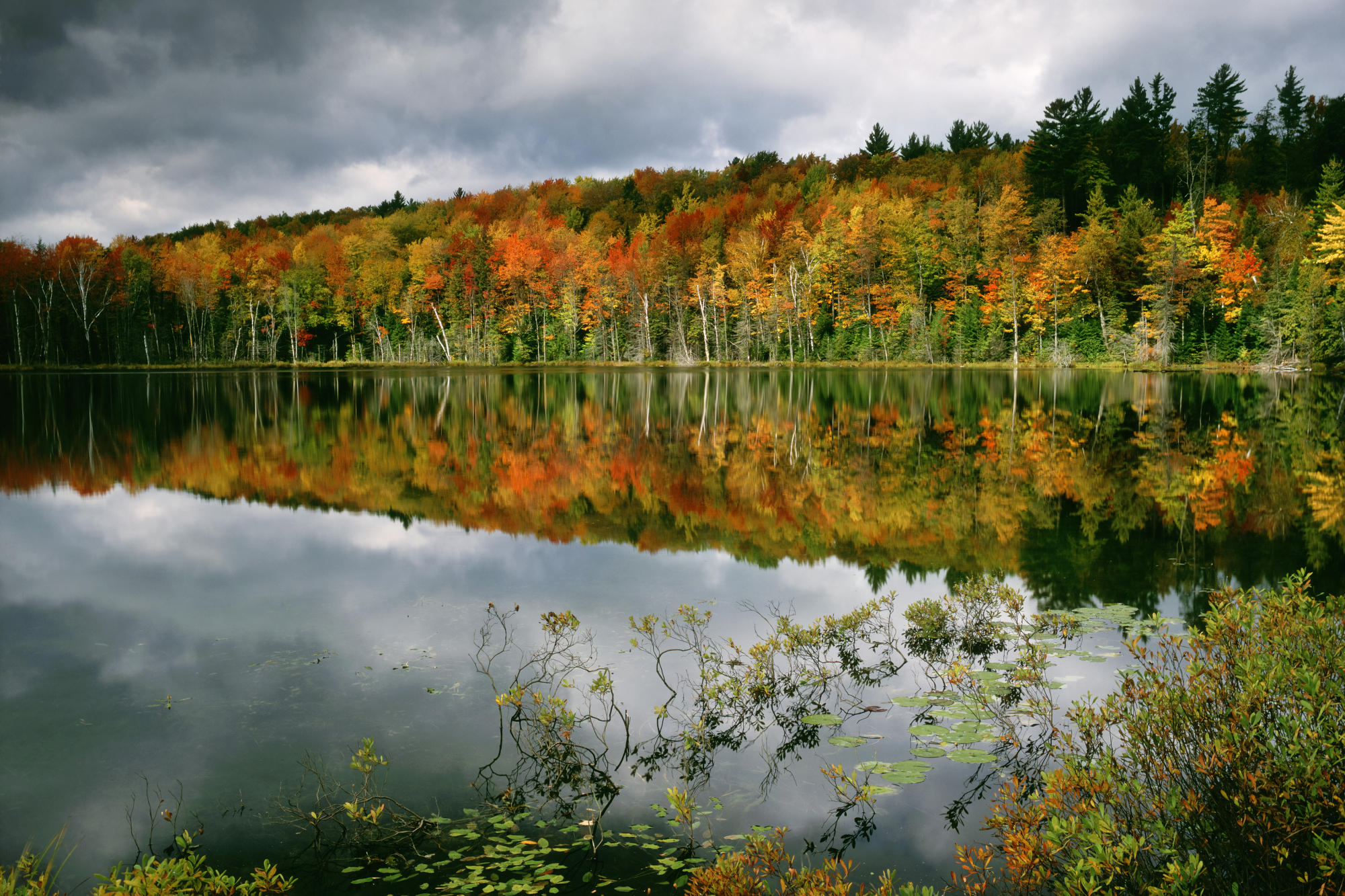 Autumn Forest Reflected In The Lake Hd Wallpaper Background Image