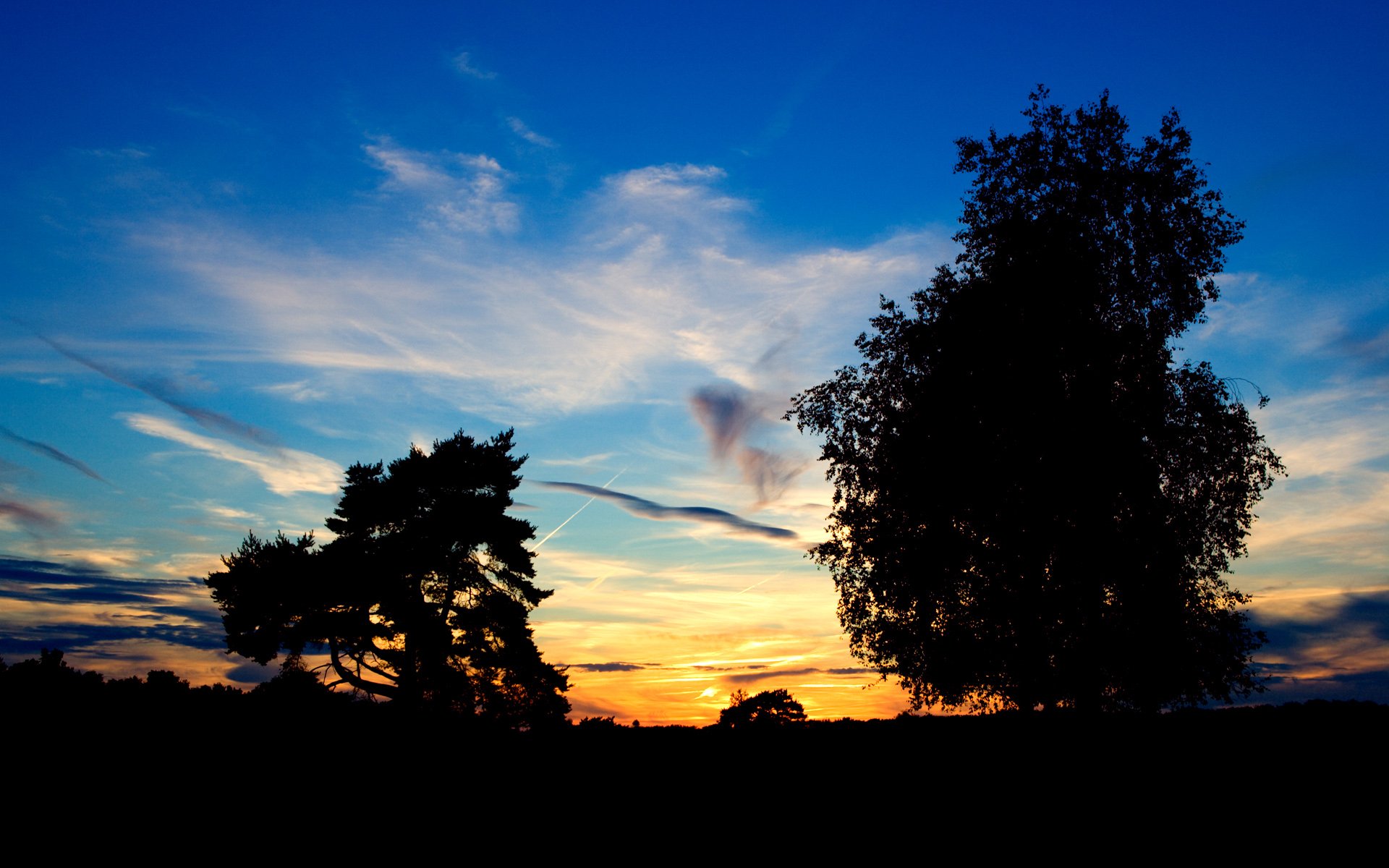 A serene sunset backdrop, featuring silhouetted trees against a vibrant sky, creating a tranquil nature scene. This HD wallpaper brings the beauty of nature to your desktop.