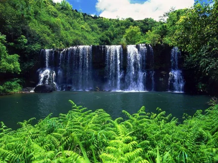 HD desktop wallpaper featuring a serene waterfall cascading into a tranquil pool, surrounded by lush green foliage in a vibrant nature setting.