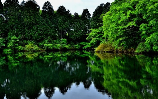Earth Lake Lakes Reflection Nature Green HD Wallpaper | Background Image
