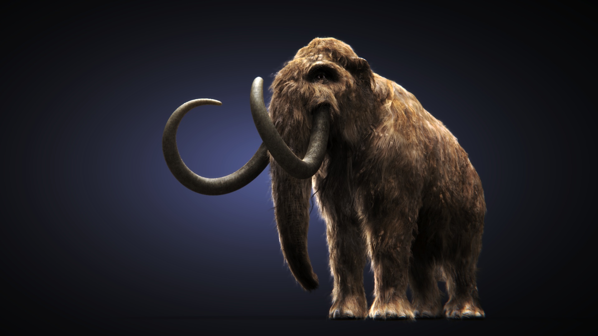 Animal Mammoth HD Wallpaper Background Image. 