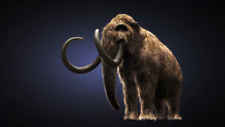 HD PC desktop wallpaper and background: close-up face and body of a shaggy woolly mammoth animal with curved tusks set against a dark gradient backdrop.