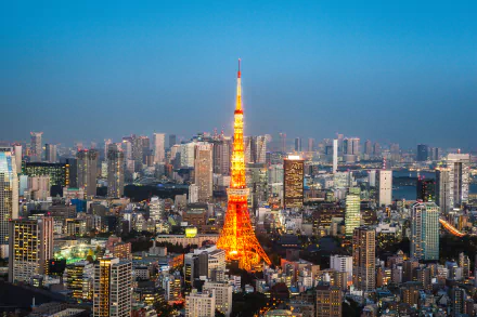 A vibrant 4K Ultra HD cityscape of Tokyo, showcasing the illuminated Tokyo Tower amidst skyscrapers and buildings under a clear evening sky.