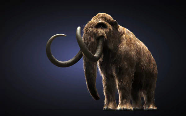 HD PC desktop wallpaper and background: close-up face and body of a shaggy woolly mammoth animal with curved tusks set against a dark gradient backdrop.