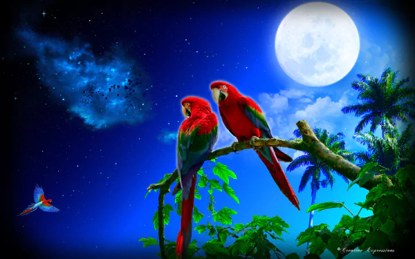 Artistic HD desktop wallpaper featuring two vibrant parrots perched on a branch against a tropical night backdrop with a full moon, lush trees, and a fantasy celestial sky.