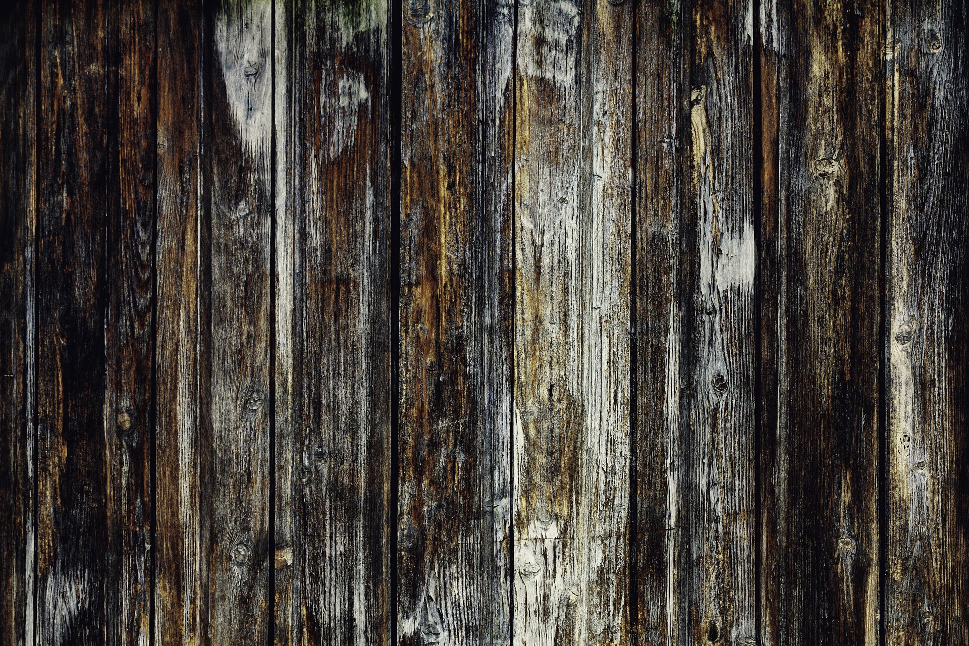 Full wood. Текстура дерева художественное фото. Warm Wood Wallpaper. Wild Wood Wallpaper. Wood Digital Art