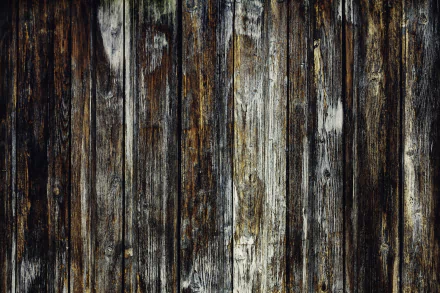 artistic wood HD Desktop Wallpaper | Background Image