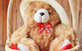 92 4k Ultra Hd Teddy Bear Wallpapers Background Images Wallpaper Abyss