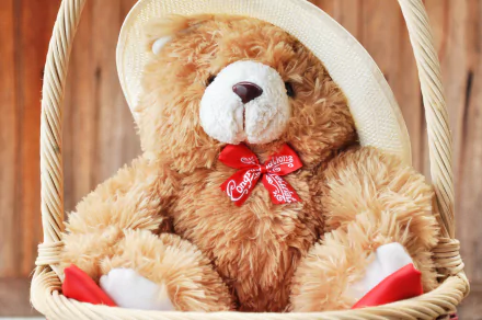 teddy bear man made stuffed animal HD Desktop Wallpaper | Background Image