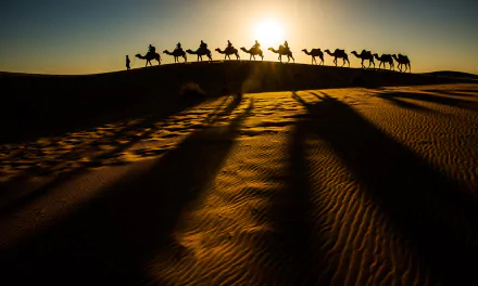 desert camel photography caravan HD Desktop Wallpaper | Background Image