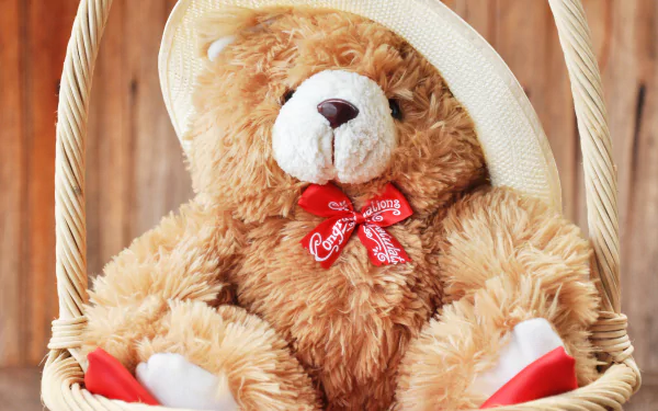 teddy bear man made stuffed animal HD Desktop Wallpaper | Background Image