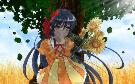 Anime Shakugan No Shana HD Desktop Wallpaper | Background Image