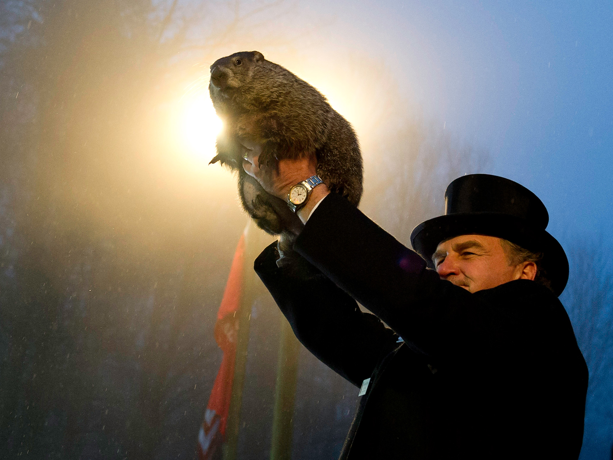 Groundhog handler John Griffiths holds Punxsutawney Phil aloft