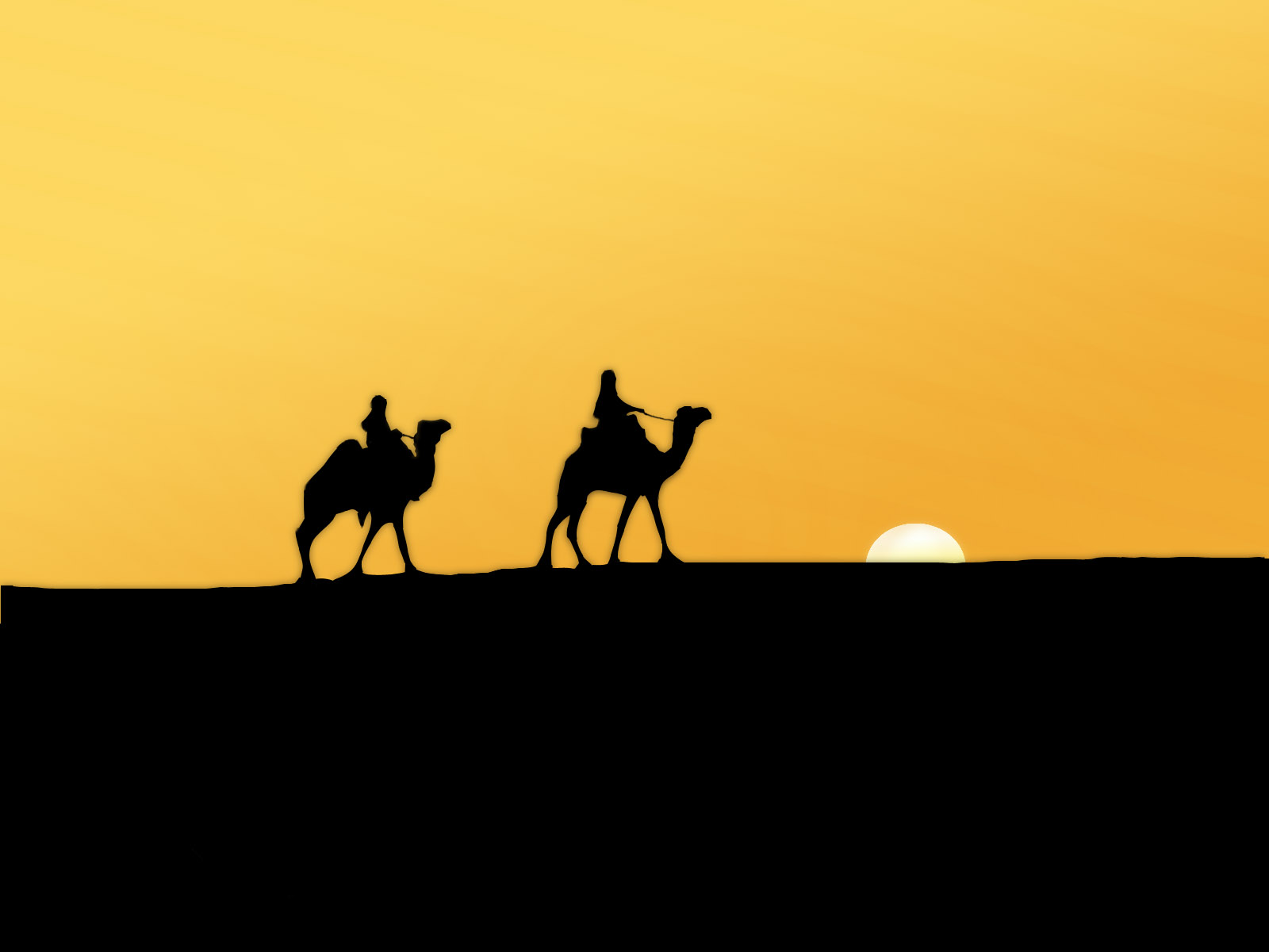 Sunset over desert with camel.