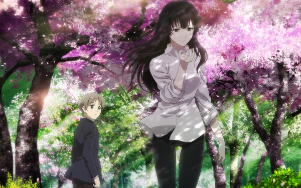 HD PC desktop wallpaper featuring Sakurako Kujou and a boy from the anime Beautiful Bones: Sakurako's Investigation, set against vibrant cherry blossom trees.